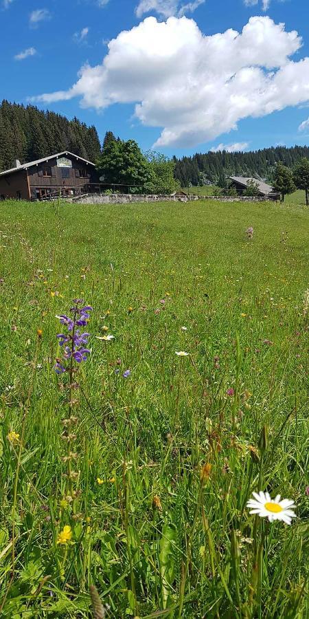 Gite Les Lanfiannes Thorens-Glières Eksteriør bilde