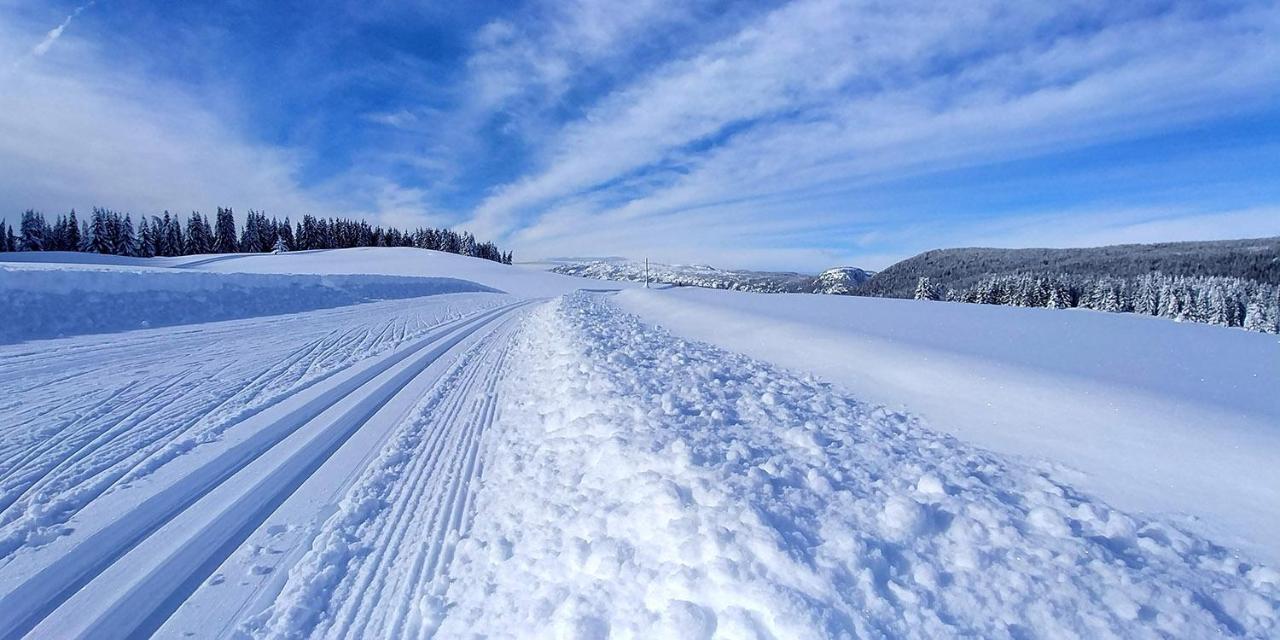 Gite Les Lanfiannes Thorens-Glières Eksteriør bilde