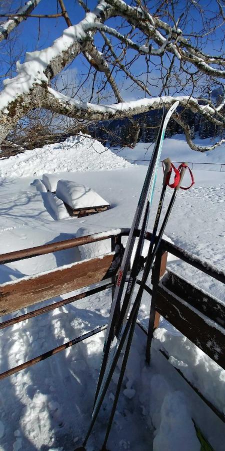 Gite Les Lanfiannes Thorens-Glières Eksteriør bilde