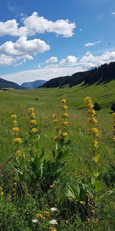 Gite Les Lanfiannes Thorens-Glières Eksteriør bilde
