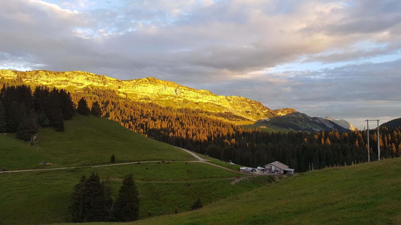 Gite Les Lanfiannes Thorens-Glières Eksteriør bilde